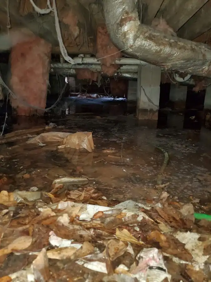 Crawl space flood assessment for Leak Detection & Repair in Valley Center